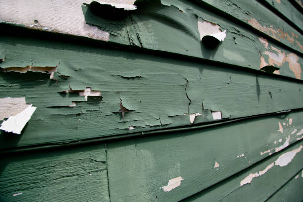 Best Siding for Multi-Family Homes  in Lake Wilderness, VA