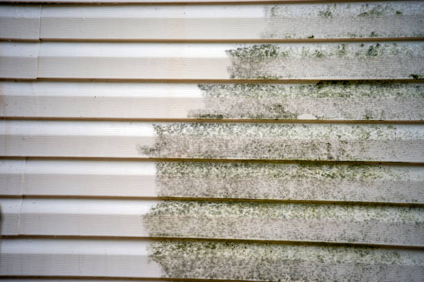 Best Brick Veneer Siding  in Lake Wilderness, VA