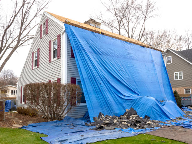 Best Stucco Siding  in Lake Wilderness, VA